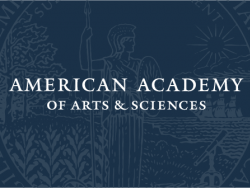 Video: The Civil Justice Gap (American Academy of Arts & Sciences 2020)