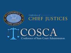 Report: Conference of Chief Justices/ Conference of State Court Administrators Task Force Report (CCJ/COSCA 2002)