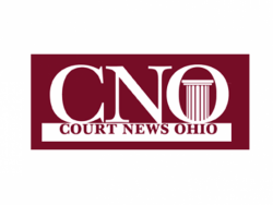 Article: Handle with CARES: Court Uses Federal Funds to Expand Community Support (CNO, Sukosd 2020)