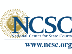 Resource: National Center for State Courts Tiny Chat 79: Social Workers and Self-Help (NCSC 2022)