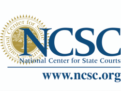 Survey: The State of State Courts: NCSC Public Opinion Surveys (NCSC 2014-2020)