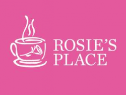 Report: Survey of Social Workers in Massachusetts (Rosie's Place 2015)