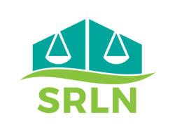 Resource: SRLN Justice Tech Working Group Write-ups (SRLN 2021)